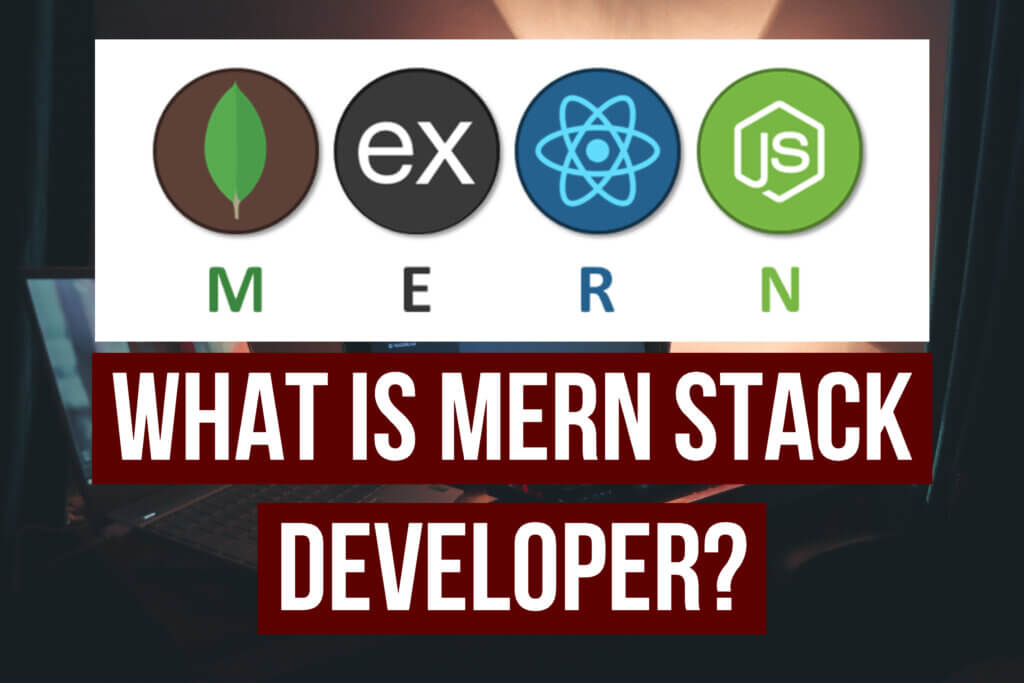 mern stack developer
